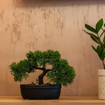 Sm Exclusive * 维索科