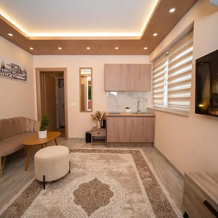 Sm Exclusive 维索科