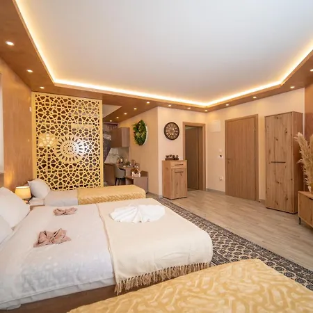 Sm Exclusive 维索科