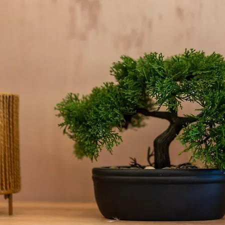 Sm Exclusive 公寓 维索科