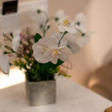 Sm Exclusive Apartament Visoko